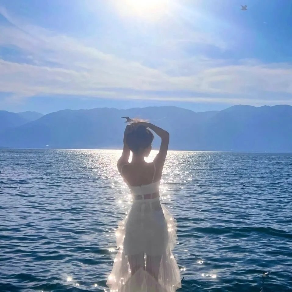 黑之契约者2：流星的双子